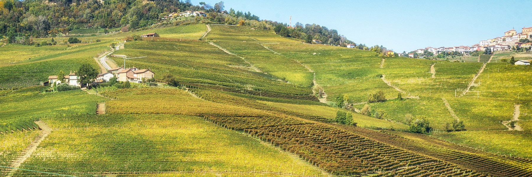 Paesaggio Langhe