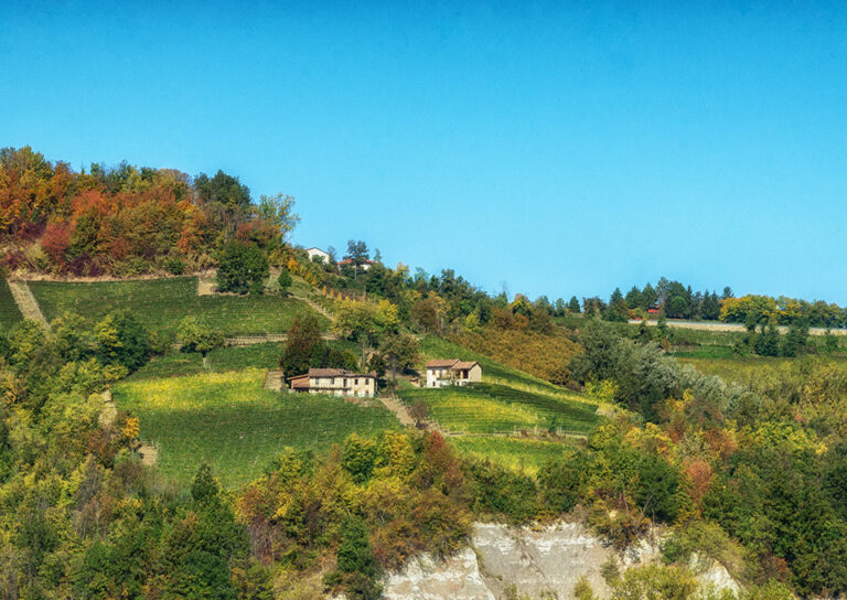 Paesaggio Langhe