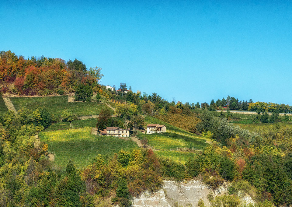 Paesaggio Langhe