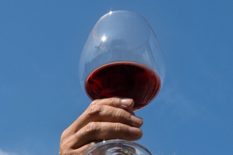 Bicchiere di vino