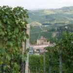 Paesaggio Langhe