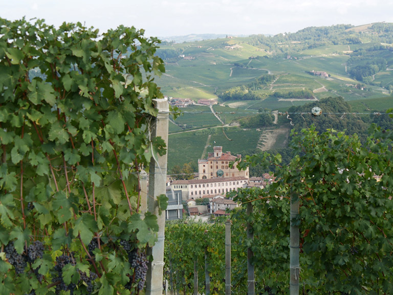 Paesaggio Langhe