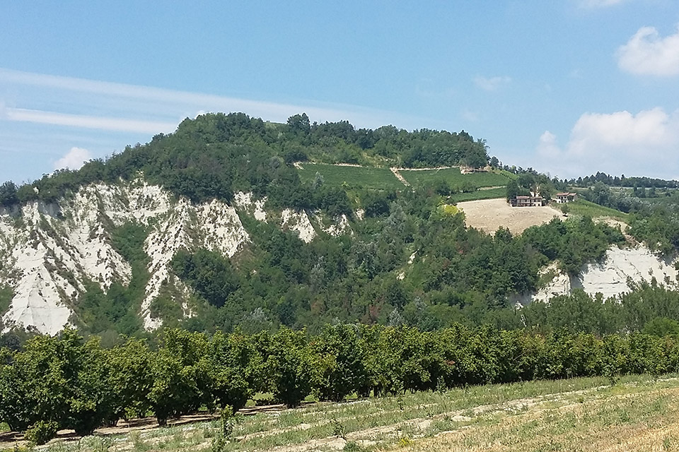 Paesaggio Langhe