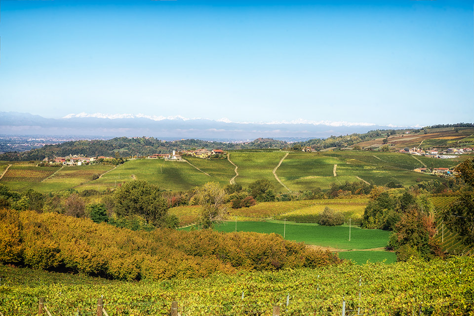 Paesaggio Langhe