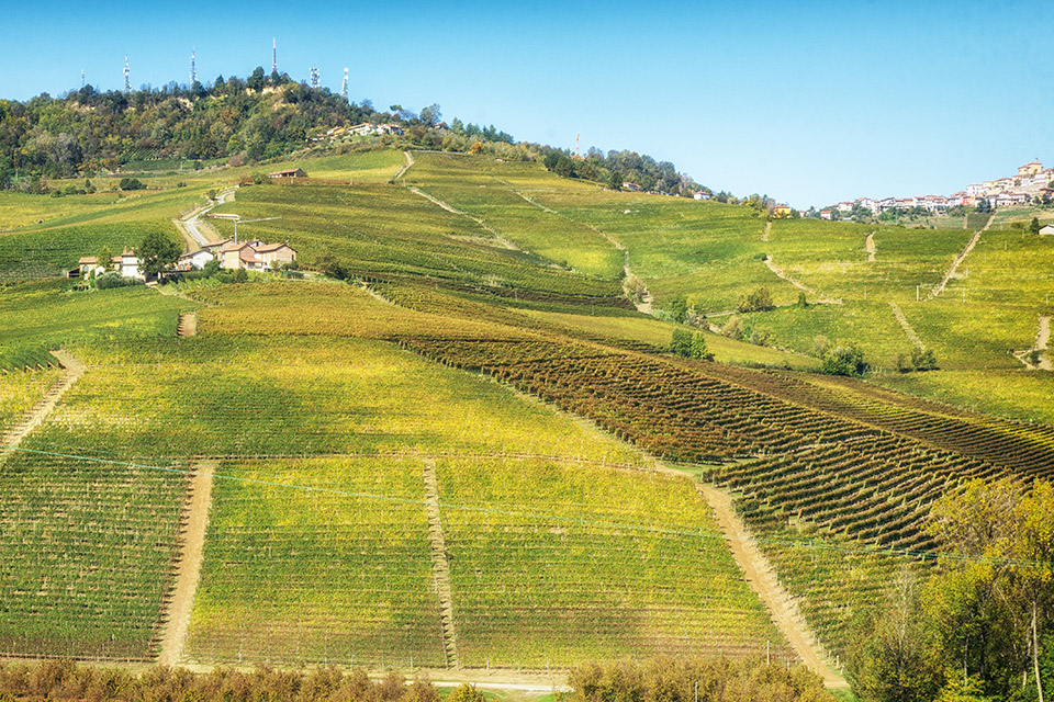 Paesaggio Langhe